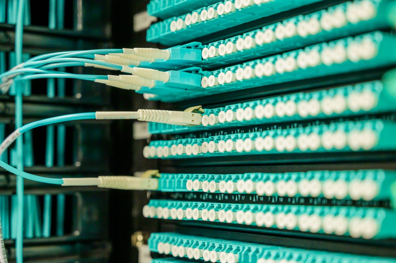 Mastering the First Impression: Your intriguing post title goes here Networking cables plugged into a patch panel, showcasing data center connectivity.